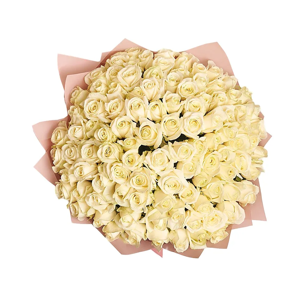 101 белая роза