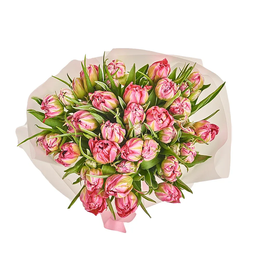 25 светло-розовых пионовидных тюльпанов