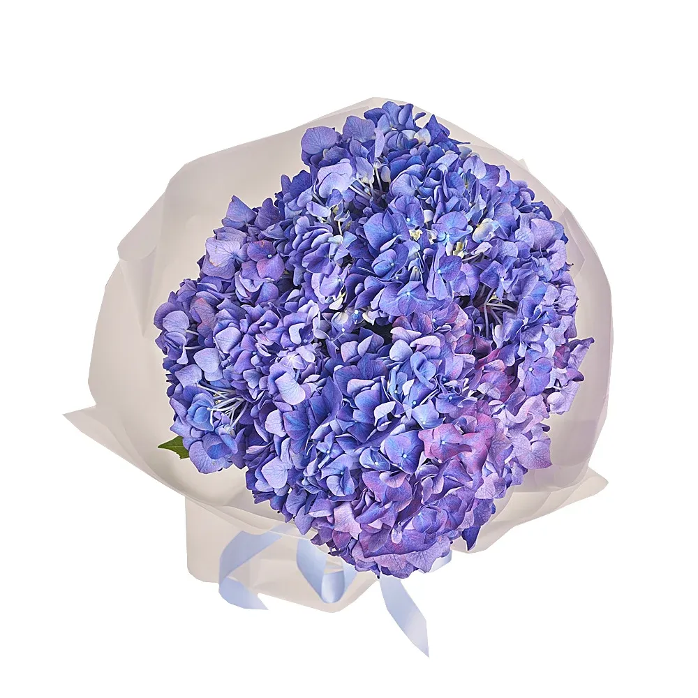 Букет из 5 фиолетовых гортензий