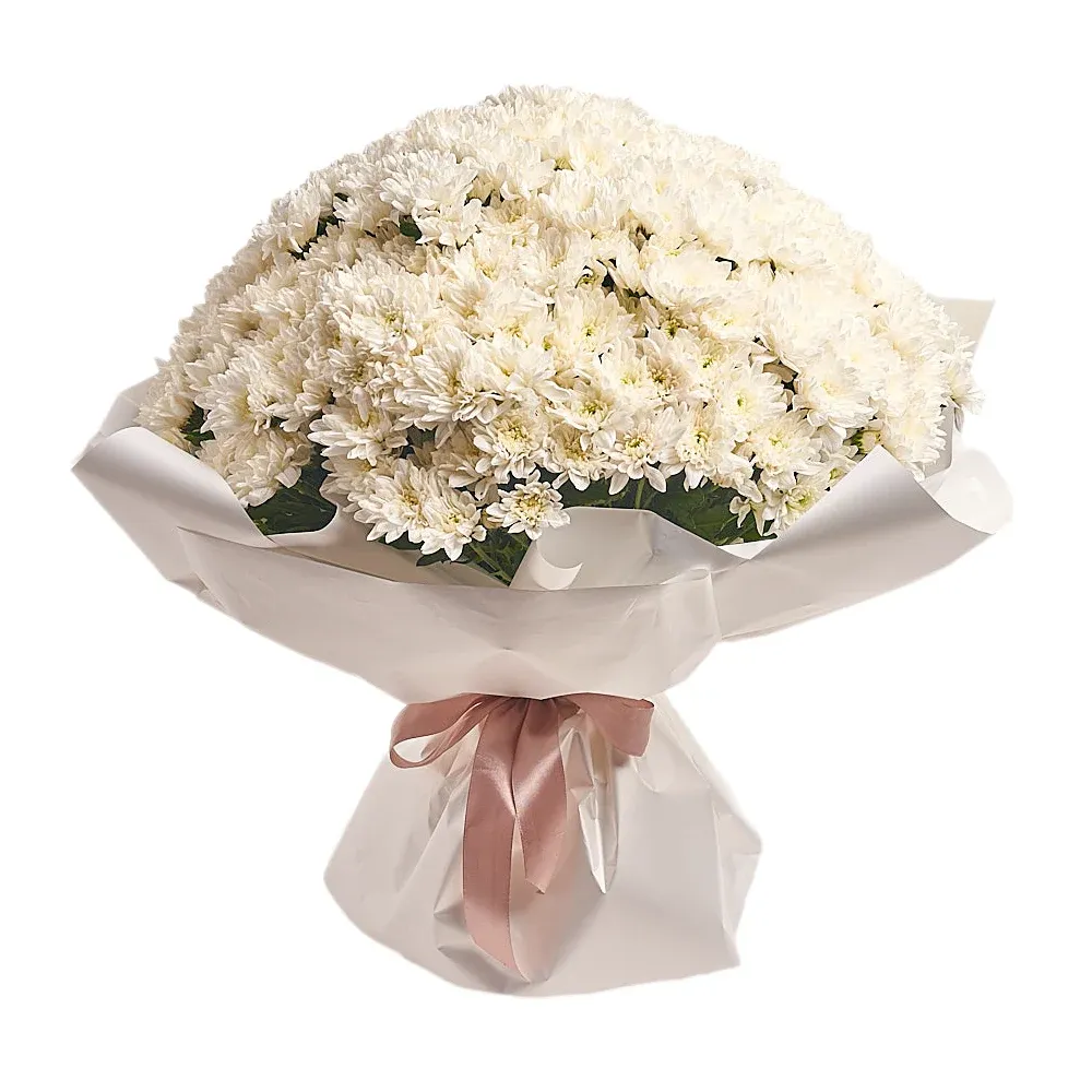 Букет из 51 белой хризантемы