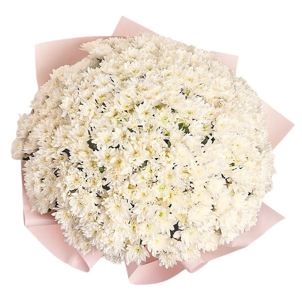 Букет из 51 белой хризантемы